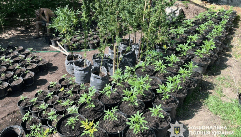 Новини України - В Україні провели другий етап спецоперації Джентельмени