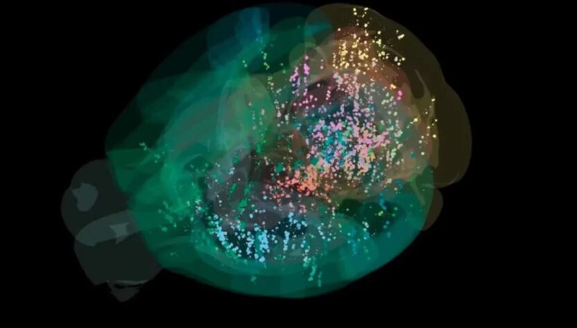 Технології - Вчені створили першу детальну карту прийняття рішень у мозку