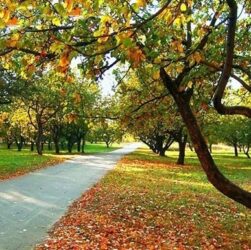 Новини України - Вихідні в Україні будуть теплими