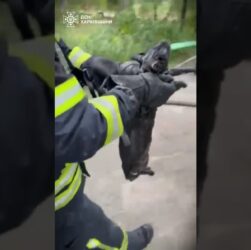 Кожне_життя_важливе