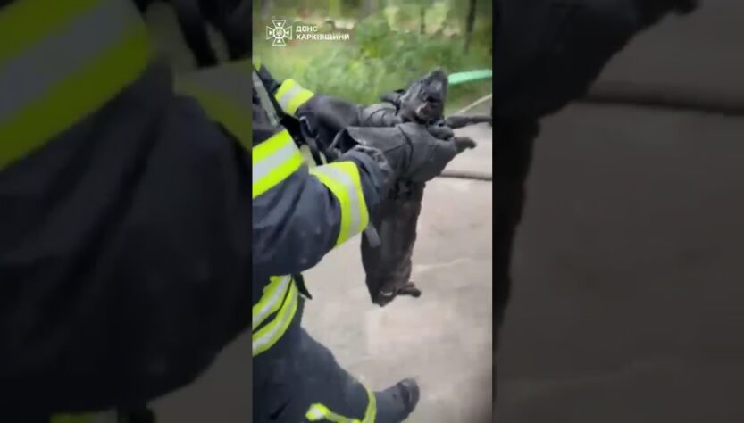 Кожне_життя_важливе