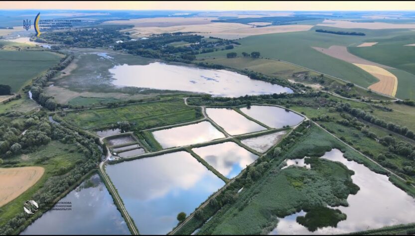 Перлина Поділля: історія успіху одного з найбільших рибних господарств України