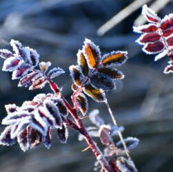 Новини України - Дощі та нічні заморозки: погода на початок тижня
