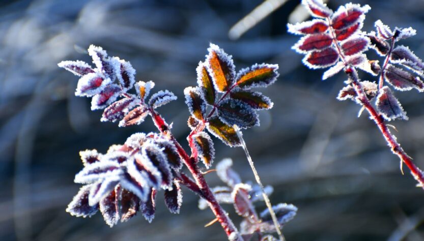 Новини України - Дощі та нічні заморозки: погода на початок тижня