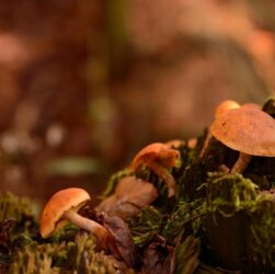 Новини культури - Гороскоп для всіх знаків зодіаку на 10 жовтня 2025 року