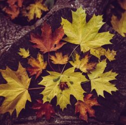 Новини культури - Гороскоп для всіх знаків зодіаку на 11-12 жовтня 2025 року