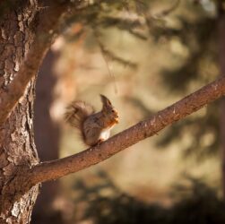 Новини культури - Гороскоп для всіх знаків зодіаку на 15 жовтня 2025 року