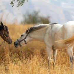 Новини культури - Гороскоп для всіх знаків зодіаку на 21 жовтня 2025 року