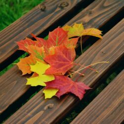 Новини культури - Гороскоп для всіх знаків зодіаку на 25 жовтня 2025 року