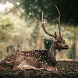 Новини культури - Гороскоп для всіх знаків зодіаку на 28 жовтня 2025 року