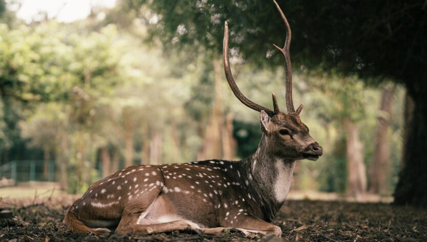 Новини культури - Гороскоп для всіх знаків зодіаку на 28 жовтня 2025 року