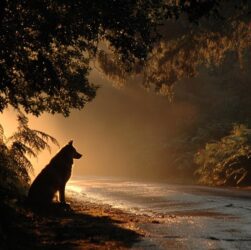 Новини культури - Гороскоп для всіх знаків зодіаку на 3 жовтня 2025 року