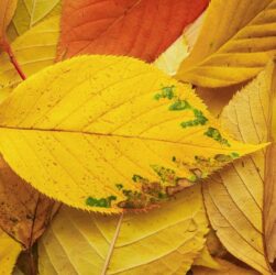 Новини культури - Гороскоп для всіх знаків зодіаку на 7 жовтня 2025 року