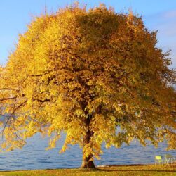 Новини культури - Гороскоп для всіх знаків зодіаку на 9 жовтня 2025 року