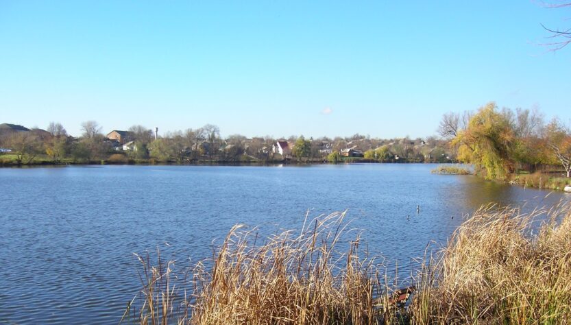 Новини України - На Гайсинщині зафіксували масовий мор риби