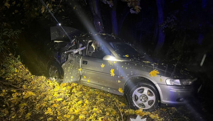 Новини України - На Київщині 15-річний водій з'їхав у кювет: загинув підліток, 6 травмованих