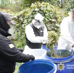 Новини України - На Київщині вилучили наркотиків на 15 млн грн