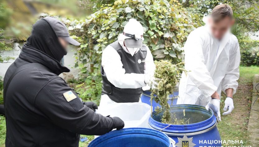 Новини України - На Київщині вилучили наркотиків на 15 млн грн