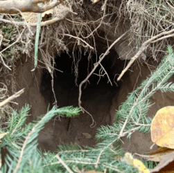 Новини світу - На кордоні між Польщею та Білоруссю виявили тунель