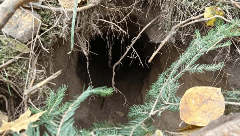 Новини світу - На кордоні між Польщею та Білоруссю виявили тунель