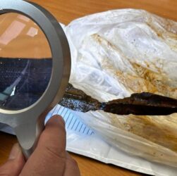 Новини України - На Львівщині "чорний археолог" намагався продати артефакти ІІ-ІІІ століть