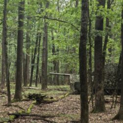 Новини України - Партизани допомогли зірвати наступ РФ під Вовчанськом