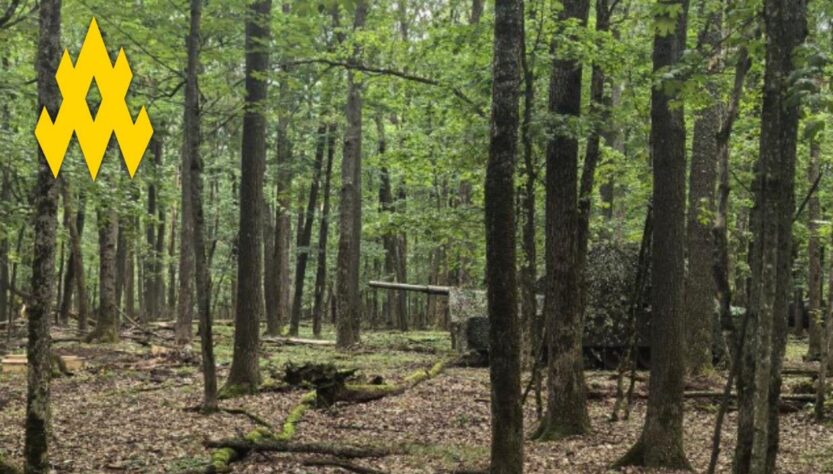 Новини України - Партизани допомогли зірвати наступ РФ під Вовчанськом