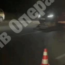 Новини Києва - Під Києвом авто збило лося