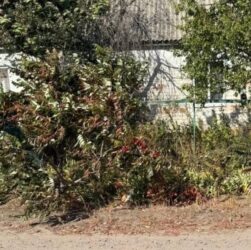 Новини України - Росіяни вбили жительку Харківщини