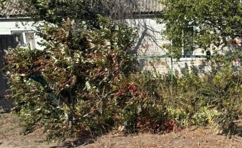 Новини України - Росіяни вбили жительку Харківщини