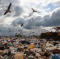 Новини політики - Сміттєвий колапс: Росія потопає у відходах і планує їх вивозити в Україну