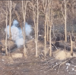 Новини України - У ДПСУ показали знищення позицій РФ на Курщині