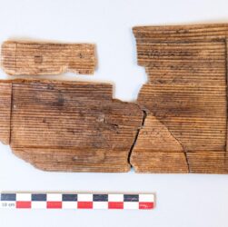 Технології - У Франції знайшли давньоримську майстерню з обробки деревини