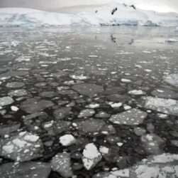 Технології - В Антарктиді фіксується майже рекордне танення льоду