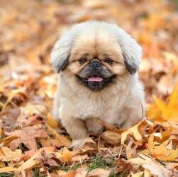 Новини України - В Україну йде потепління