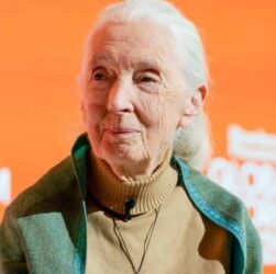 Новини культури - Відправити на іншу планету. Оприлюднено останнє звернення Джейн Гудолл