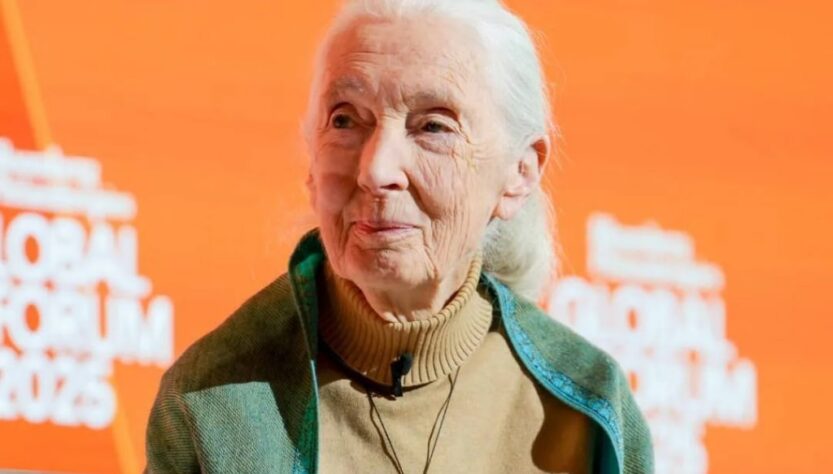 Новини культури - Відправити на іншу планету. Оприлюднено останнє звернення Джейн Гудолл