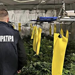 Новини України - Вирощування коноплі у підвалі будинку: викрито групу наркоділків