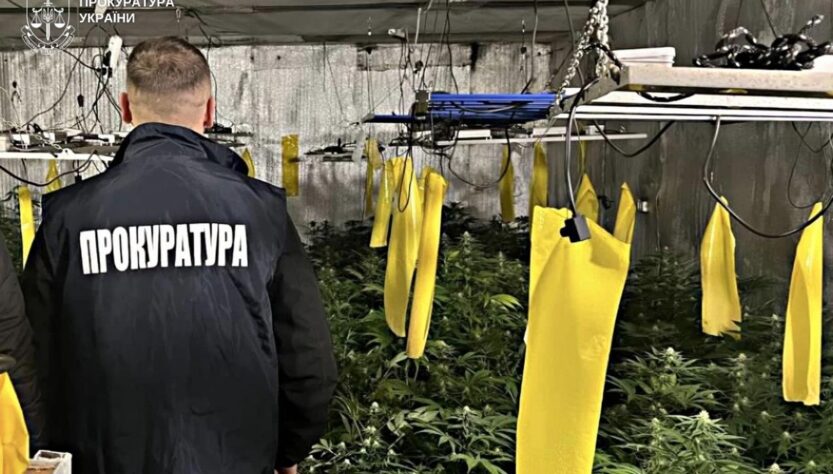 Новини України - Вирощування коноплі у підвалі будинку: викрито групу наркоділків