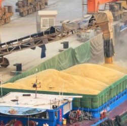 Новини України - "Вивезення мільйонів тонн зерна з України": урядовцю РФ повідомлено підозру