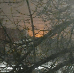 Новини світу - Дрони атакували НПЗ у Саратові - соцмережі