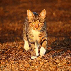 Новини культури - Гороскоп для всіх знаків зодіаку на 7 листопада 2025 року