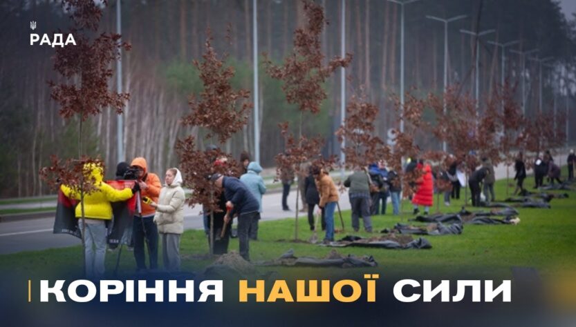 Кожен дуб – історія життя та подвигу полеглого воїна