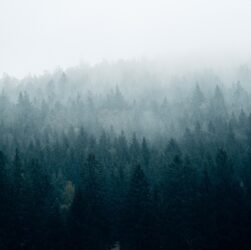 Новини України - Без опадів, але з туманами: погода на початку тижня