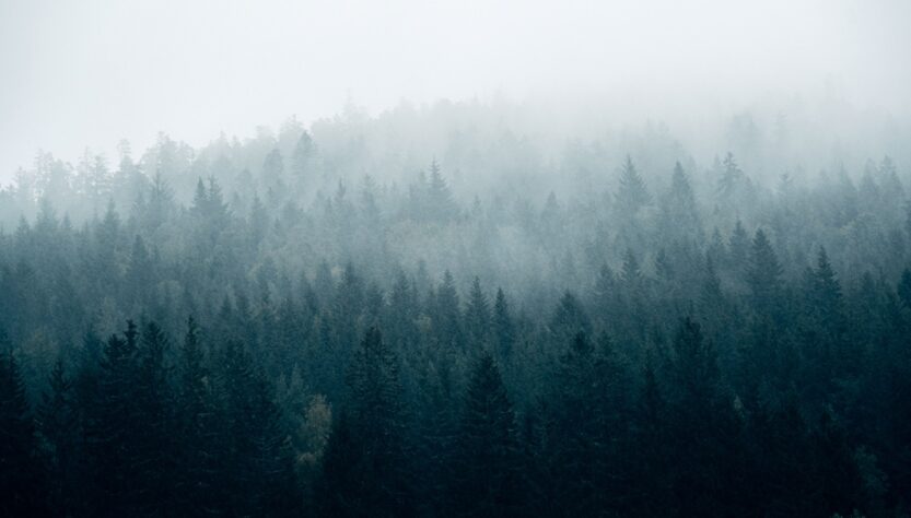 Новини України - Без опадів, але з туманами: погода на початку тижня