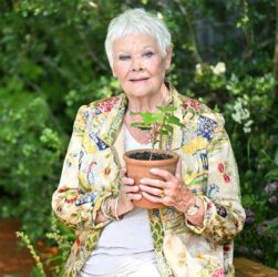 Новини культури - Джуді Денч зізналася, що майже втратила зір через прогресуючу хворобу