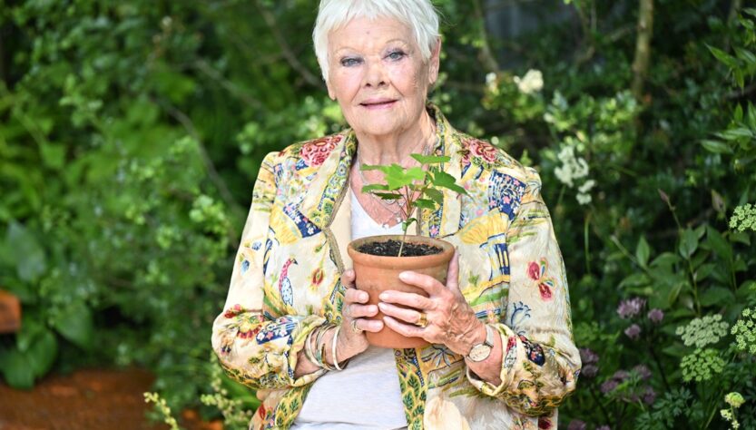 Новини культури - Джуді Денч зізналася, що майже втратила зір через прогресуючу хворобу