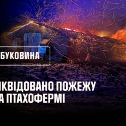 Буковина: ліквідовано пожежу на птахофермі