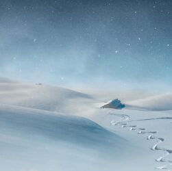 Новини культури - Гороскоп для всіх знаків зодіаку на 16 грудня 2025 року