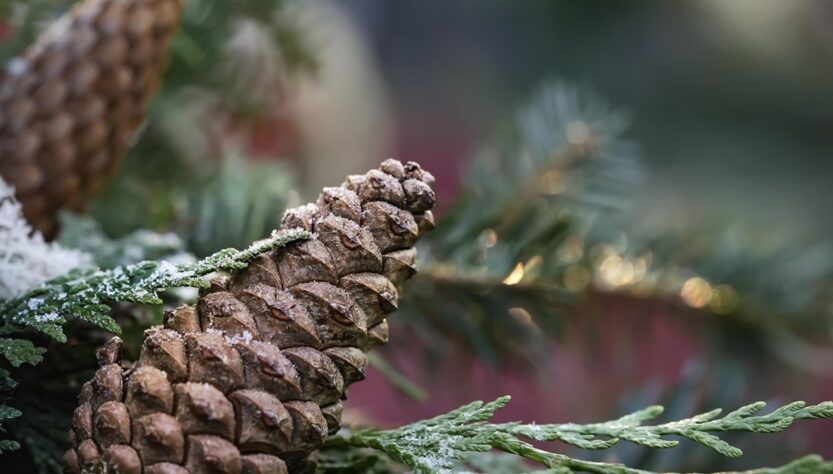 Новини культури - Гороскоп для всіх знаків зодіаку на 19 грудня 2025 року